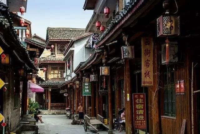 麦富迪牛肉双拼金环营养 到底牛在哪